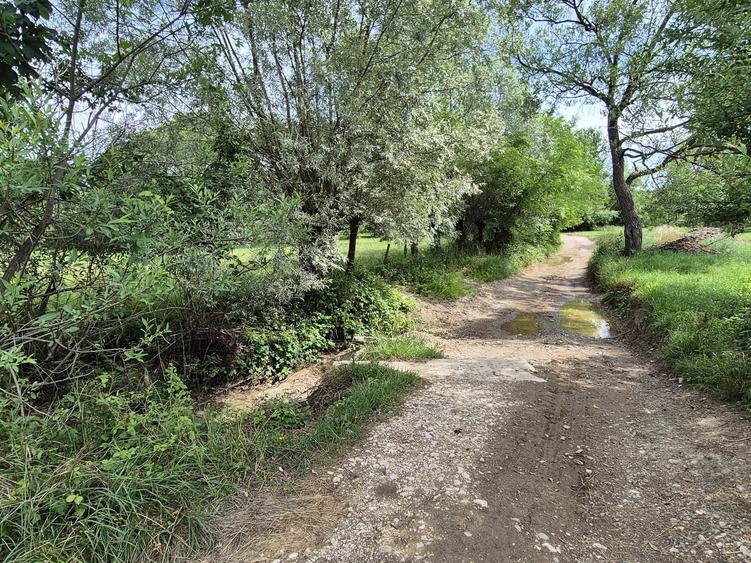 Teren agricol extravilan de 3411 mp, în Șinca Nouă