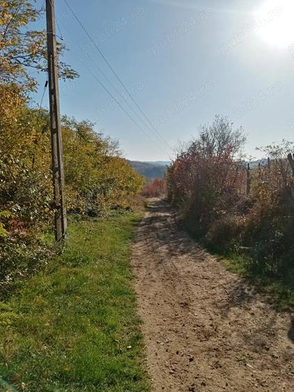 Casă cu 2 camere în Central