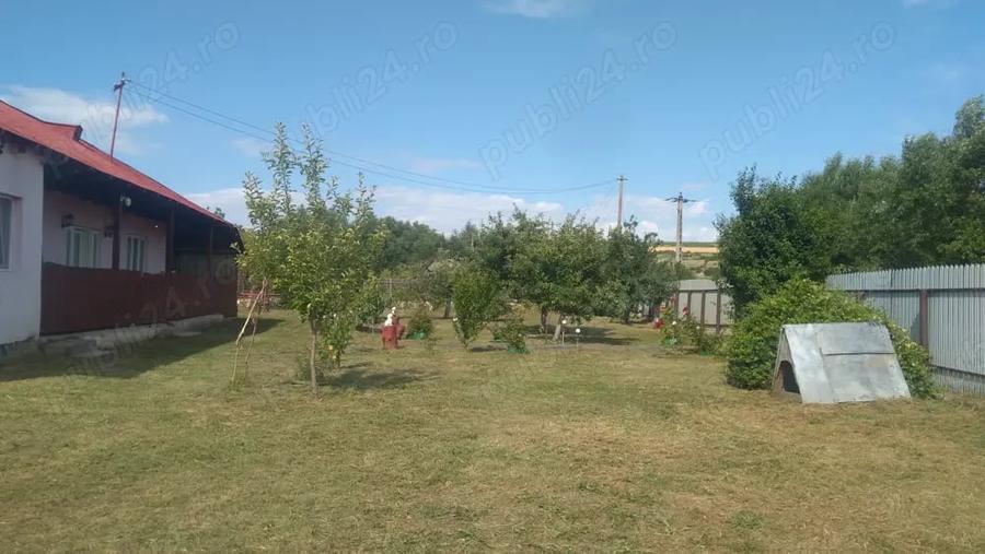 Casă cu 3 camere cu Teren 2500 Mp în Podu Turcului