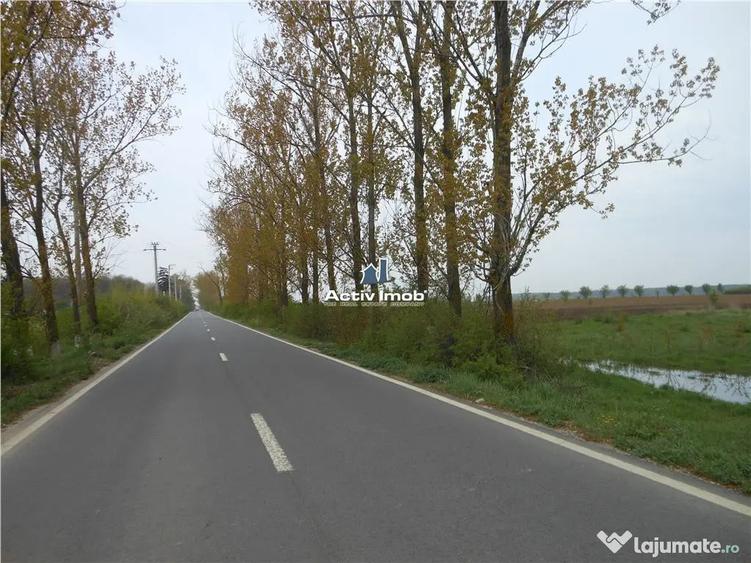 Teren de 5000 mp, în Ciolpani