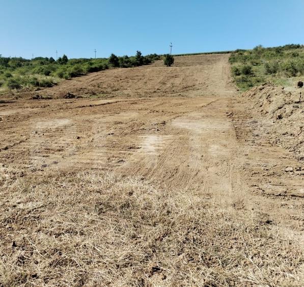 Teren Construcții intravilan de 10000 mp, în Șorogari