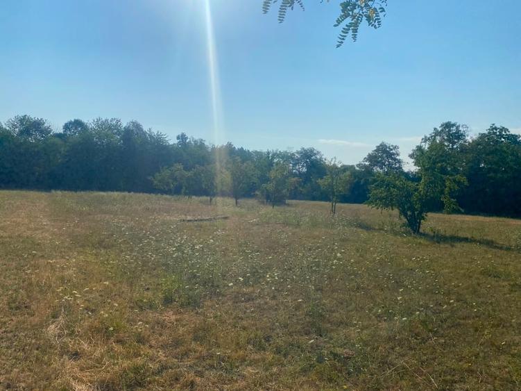 Teren intravilan de 3547 mp, în Polovragi