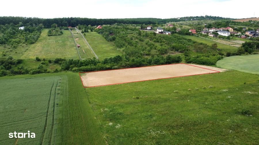 Teren de 2935 mp, în Viile Satu Mare