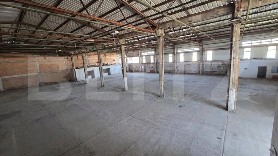 Spațiu comercial, de 1,000 mp, în Bărăbanț