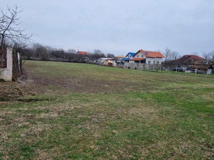 Teren de 3000 mp, în Cerneteaz