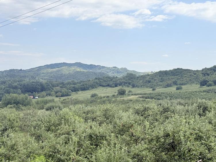 Teren Construcții intravilan de 2721 mp, în Valea Târsei