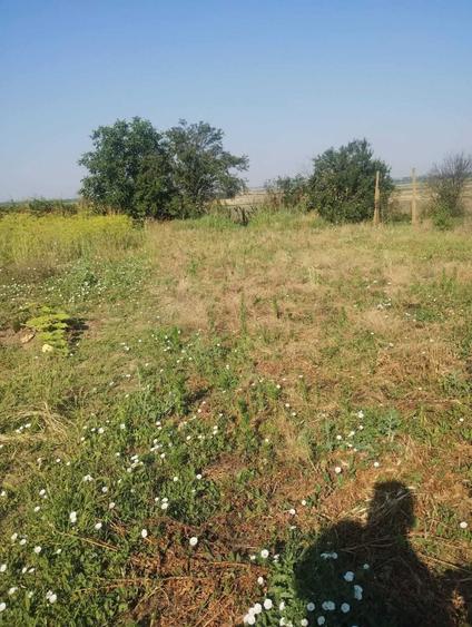 Casă cu 3 camere în Lița