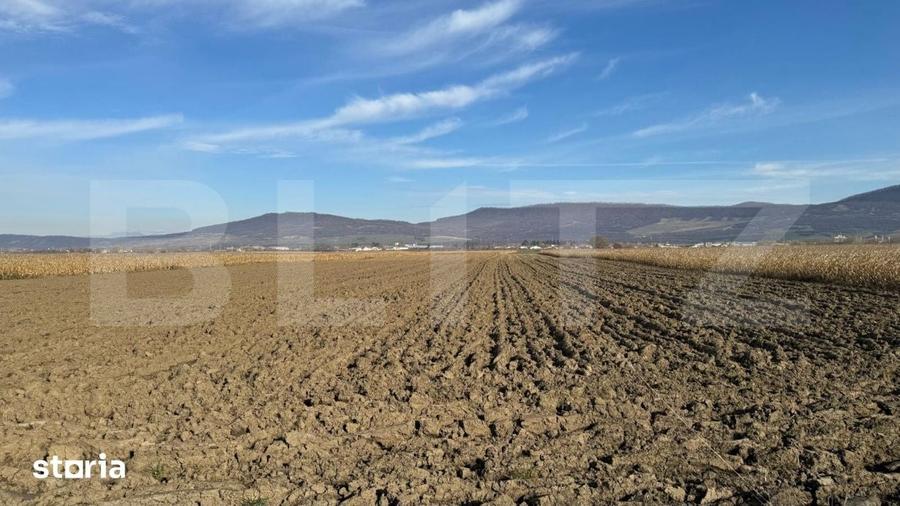 Teren de 5300 mp, în Central