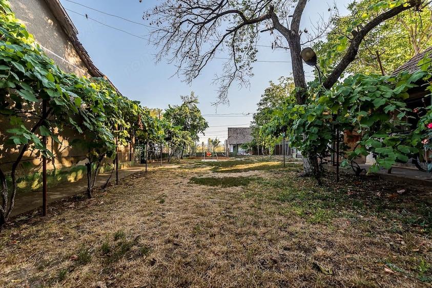 Casă cu 3 camere cu Teren 3950 Mp în Dorobanți
