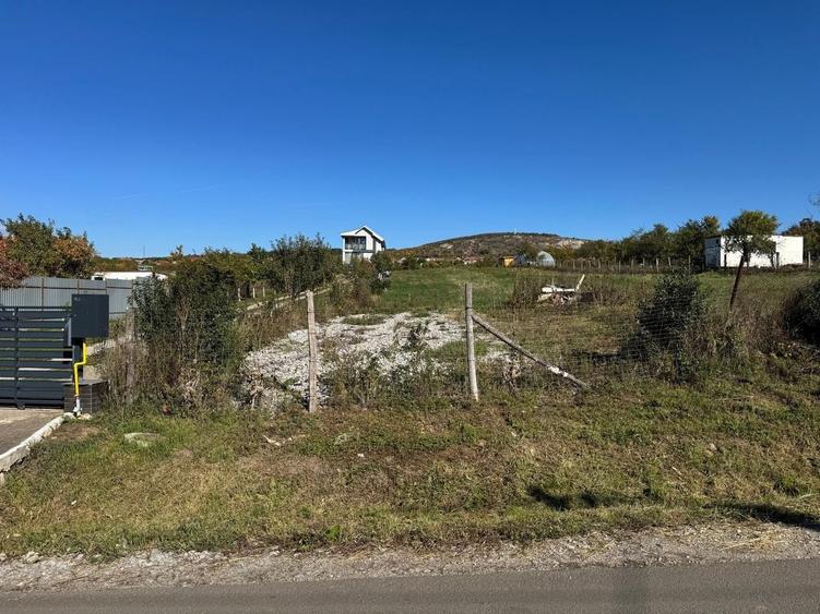 Teren Construcții intravilan de 3000 mp, în Betfia