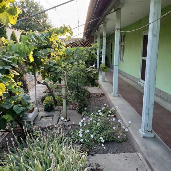 Casă cu 3 camere cu Teren 1095 Mp în Central