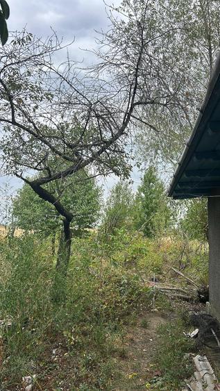 Casă cu 3 camere cu Teren 2700 Mp în Broșteni