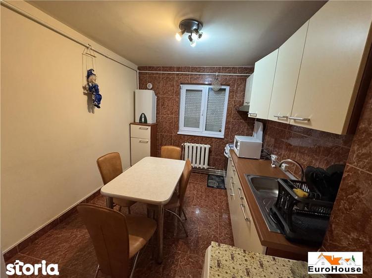 Apartament cu 2 camere de inchiriat in Alba Iulia Cetate - 9
