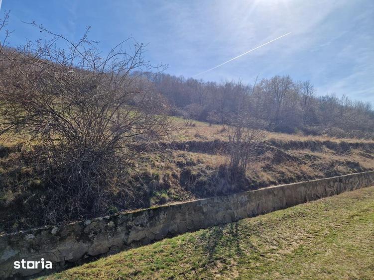 Teren extravilan, zona si priveliste superba, Cuvin - 5