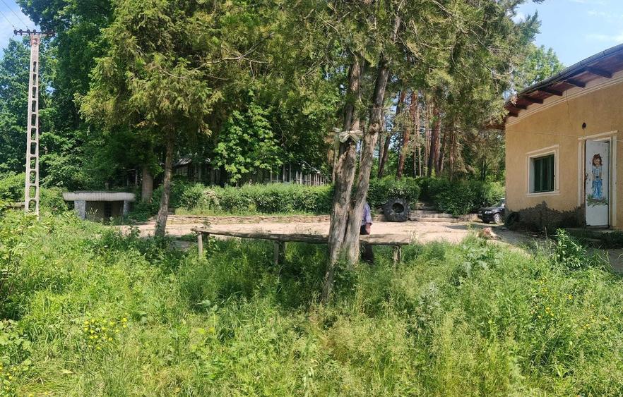 Spațiu comercial, de 1,500 mp, în Pârcovaci