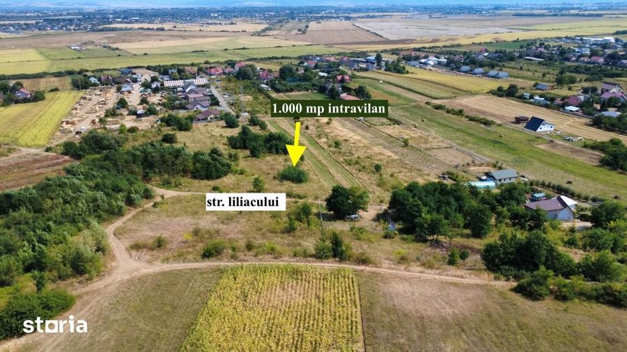 Teren de 1000 mp, în Hemeiuș