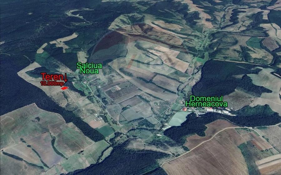 Teren de 10000 mp, în Sălciua Nouă