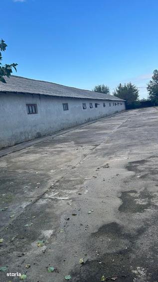 Teren de 5000 mp, în Central