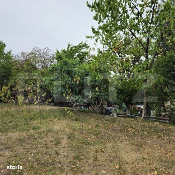 Spațiu comercial, în Viforâta