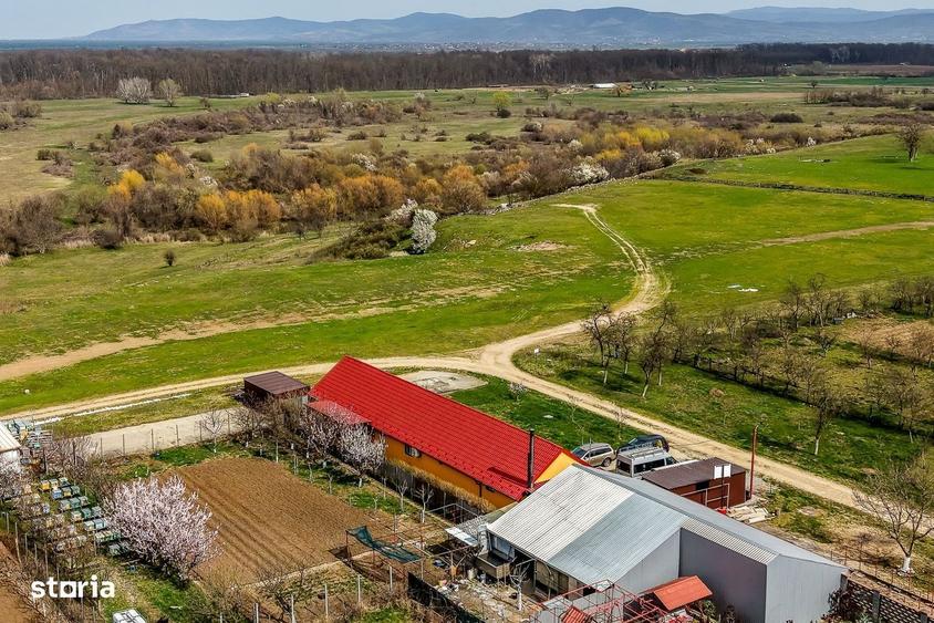 Casă cu 3 camere decomandat cu Teren 289 Mp în Frumușeni