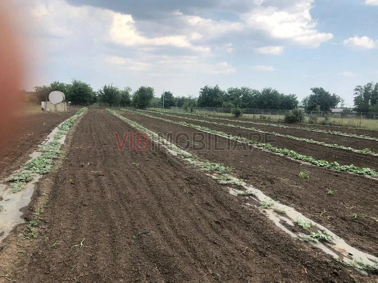 Teren de 30000 mp, în Nicolae Bălcescu
