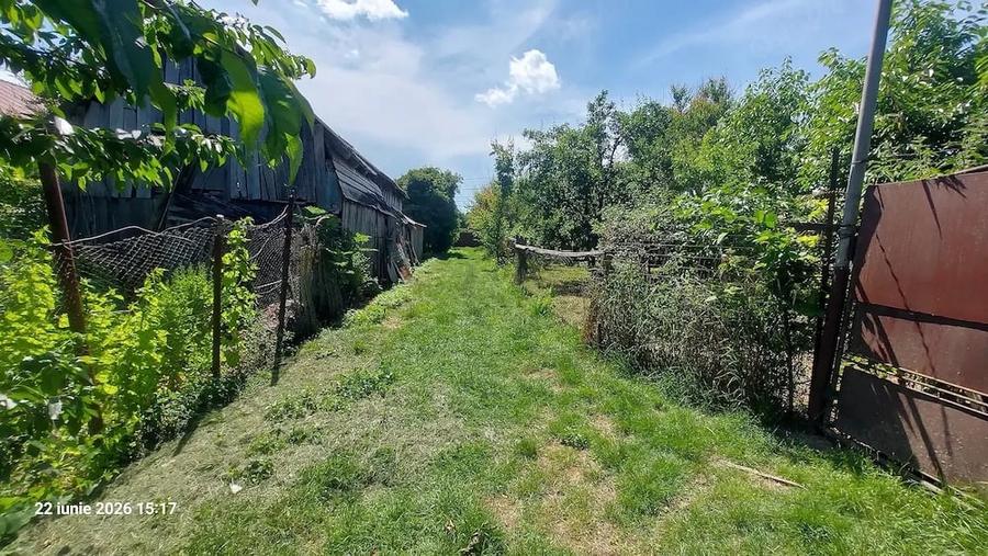 Casă cu Teren 2500 Mp în Șerbănești