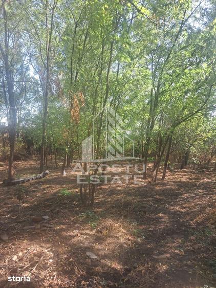 Casă cu 2 camere cu Teren 5075 Mp în Foeni
