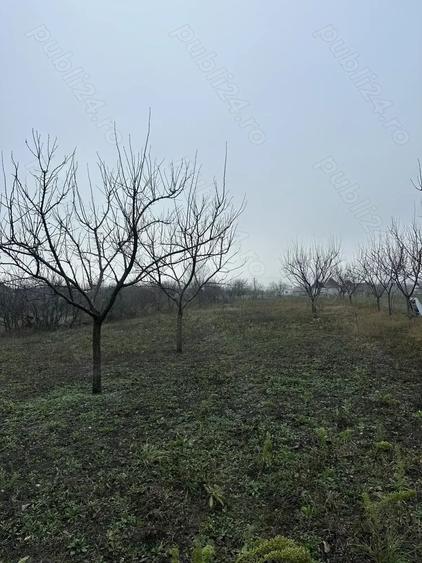 Teren de 1439 mp, în Măderat