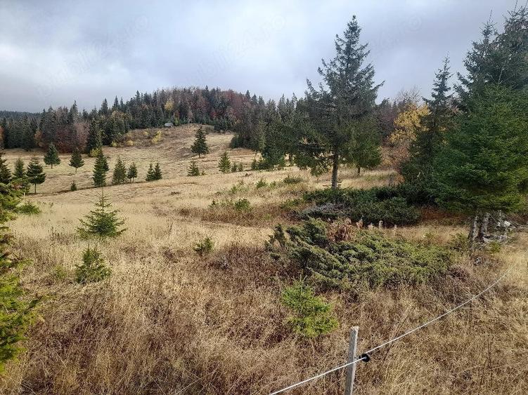 Teren de 6000 mp, în Deal