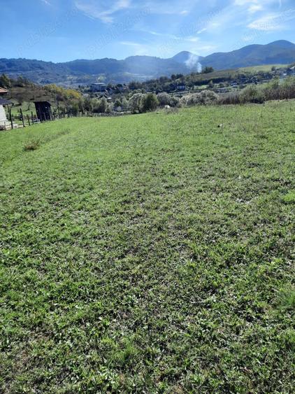Teren de 2100 mp, în Sud