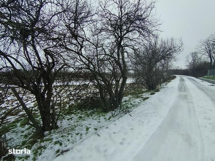 Teren de 640 mp, în Mischii