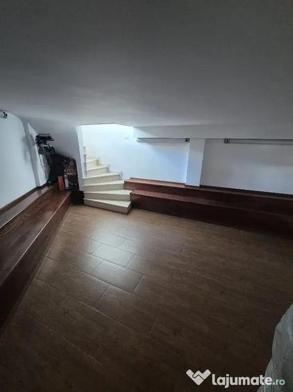 Proprietar,sp.comercial,cabinet,salon,agentie,Tineretului-Parcul Carol - 2