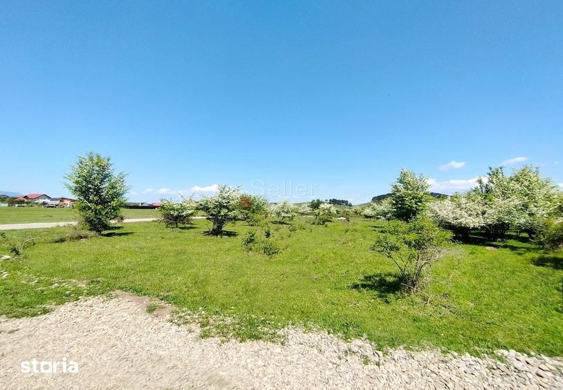 Teren de 1333 mp, în Sânpetru