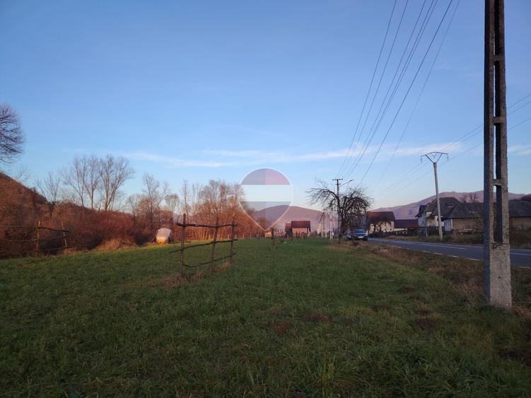 Teren de 2619 mp, în Bârsana