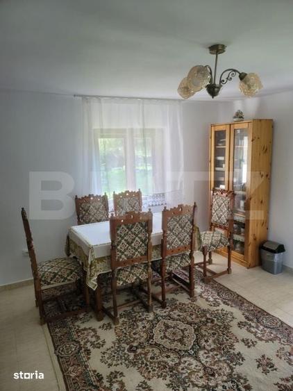 Casă cu 5 camere cu Teren 48000 Mp în Vărădia de Mureș