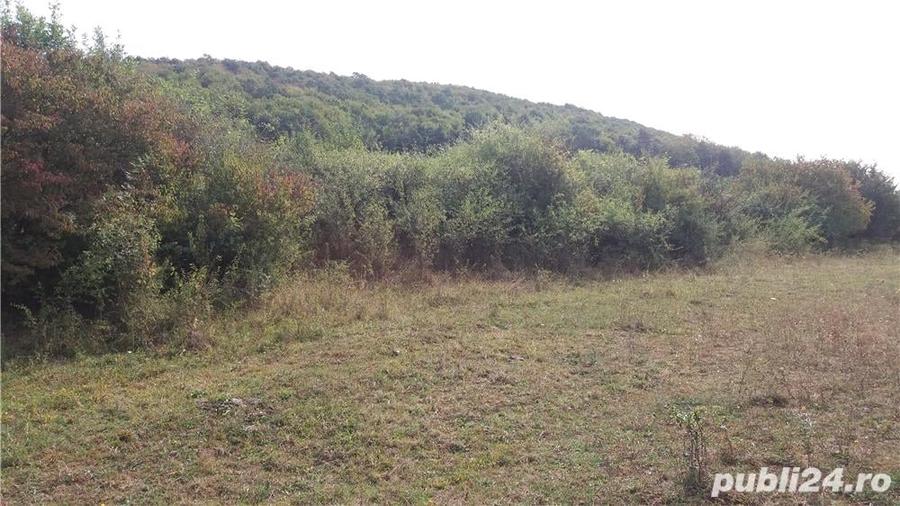 Teren de 200 mp, în Sărățel
