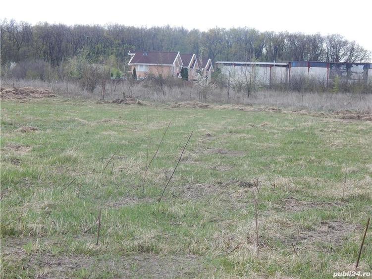Teren de 1000 mp, în Băneasa