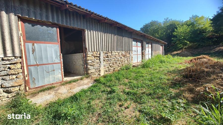 Casă cu 2 camere cu Teren 1330 Mp în Rapoltu Mare