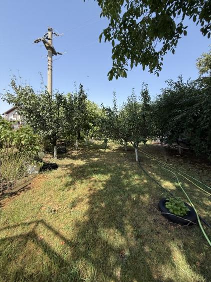 Casă individuală cu 7 camere cu Canalizare în Bolintin-Deal