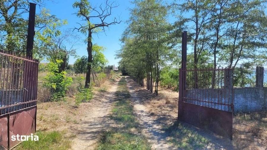 Teren de 6000 mp, în Mihail Kogălniceanu
