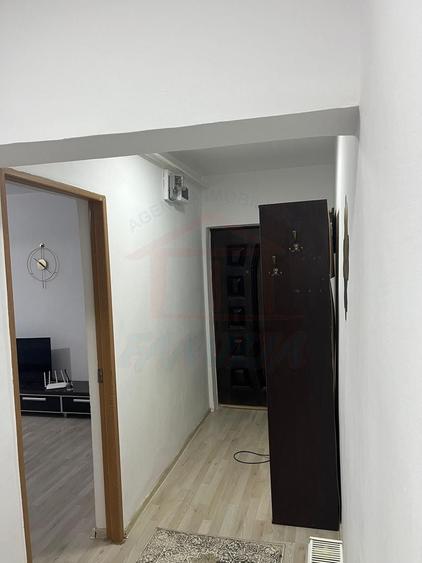 Apartament cu 2 camere, mobilat în Țiglina 1