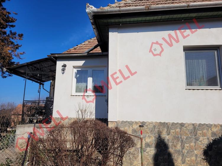 Casă individuală cu 3 camere cu Teren 1023 Mp în Delenii