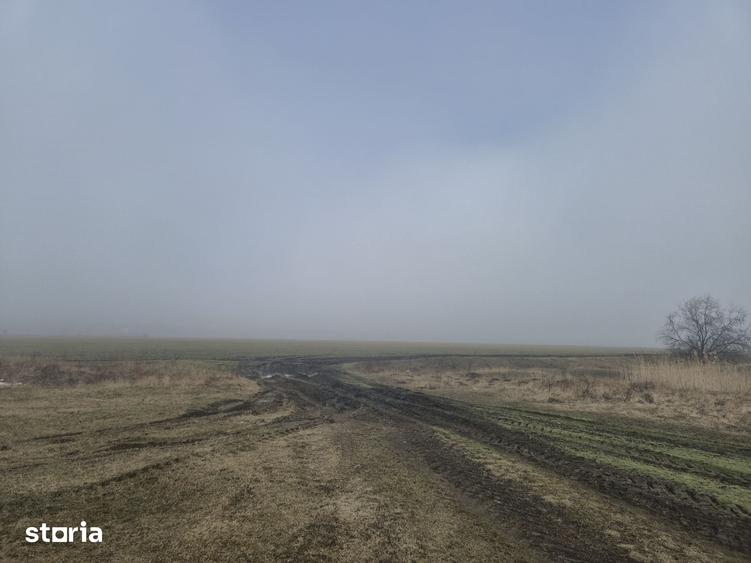 Teren 3.000 mp cu autoriza?ie hala Holboca, Ia?i | Rate - 1
