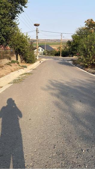 Casă cu 4 camere în Vânători