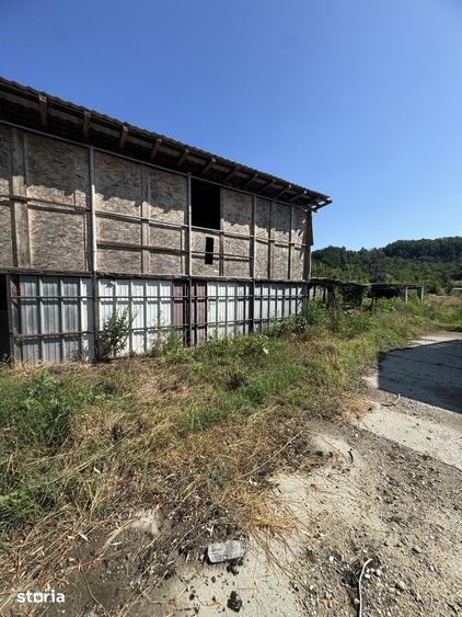 Casă cu Teren 1300 Mp în Bulzești