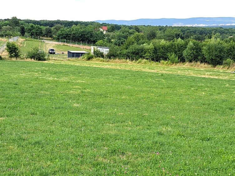 Teren agricol extravilan de 6200 mp, în Rășinari