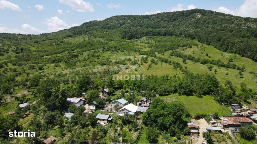 Teren de 18900 mp, în Șoimari