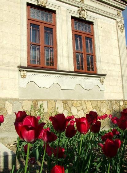 Casă cu 5 camere cu Teren 3610 Mp în Central