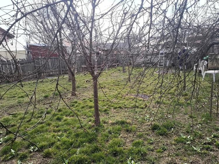 Casă cu 3 camere cu Teren 485 Mp în Central