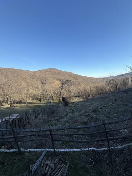 Teren de 1780 mp, în Valea Doftanei